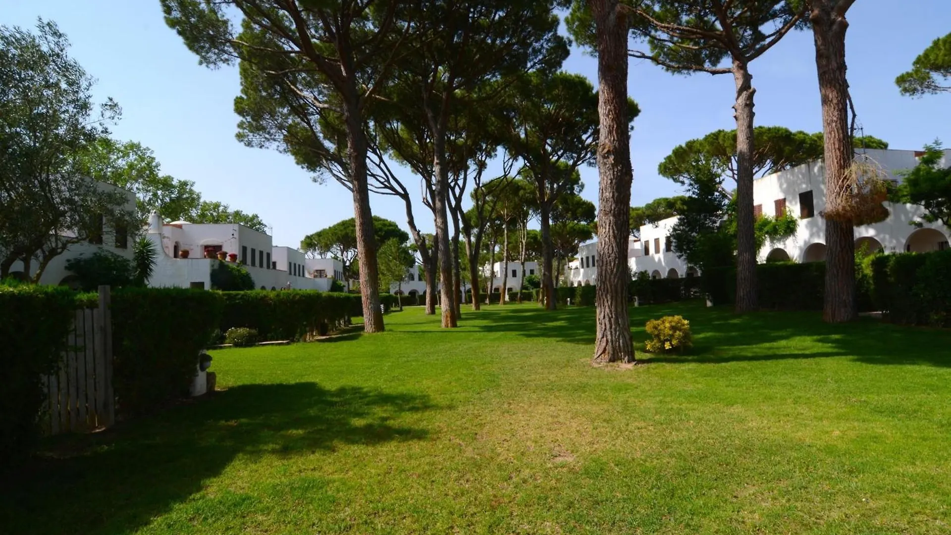Piverd Del Golf 56 Pals 0*,
